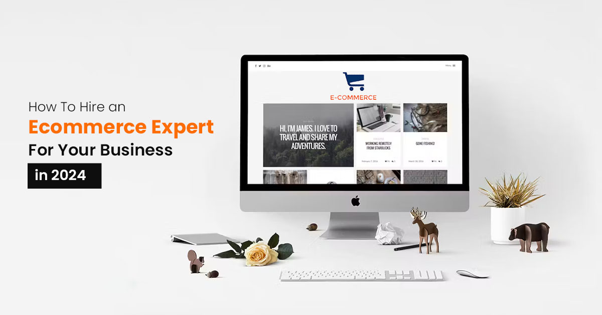 Hire Ecommerce Expert
