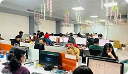 Graphic Designing Team